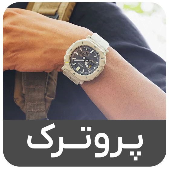 پروترک