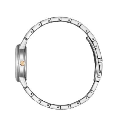 جزئیات صفحه طلایی و نمایشگر تاریخ ساعت سیتیزن FE1244-72A